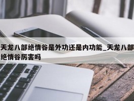 天龙八部绝情谷是外功还是内功能_天龙八部绝情谷厉害吗