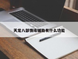 天龙八部情缘辅助有什么功能